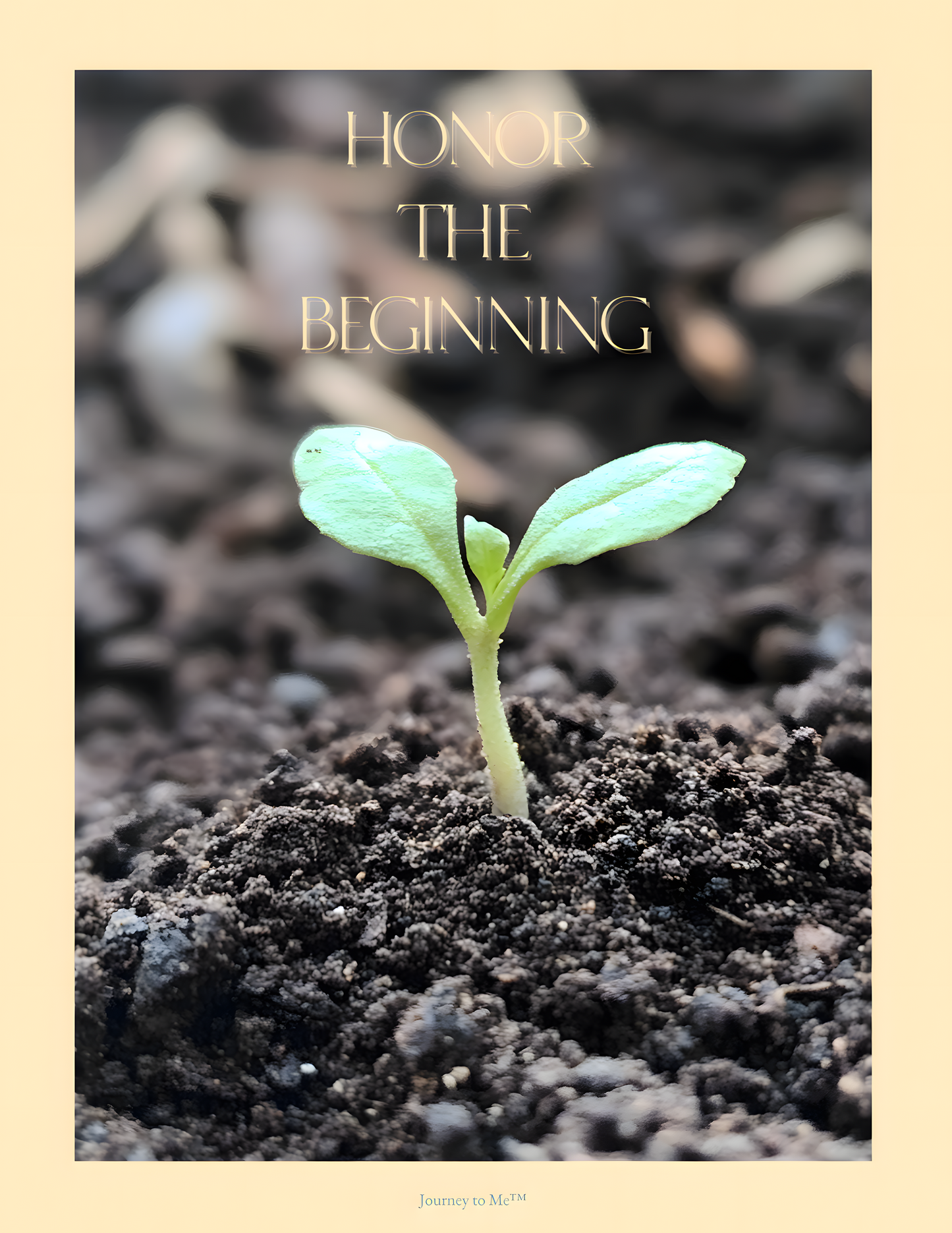 Seeds of Authentic Grace: A 7-Day Devotional for New Beginnings